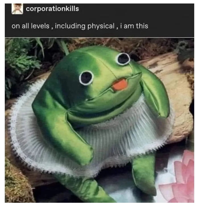 It is wednesday my dudes