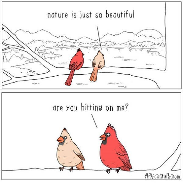 Nature is beautiful