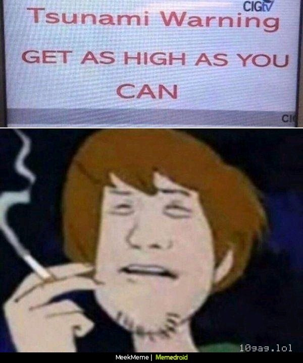 Scooby snacks