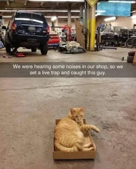 Great success!