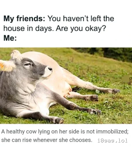 Relatable
