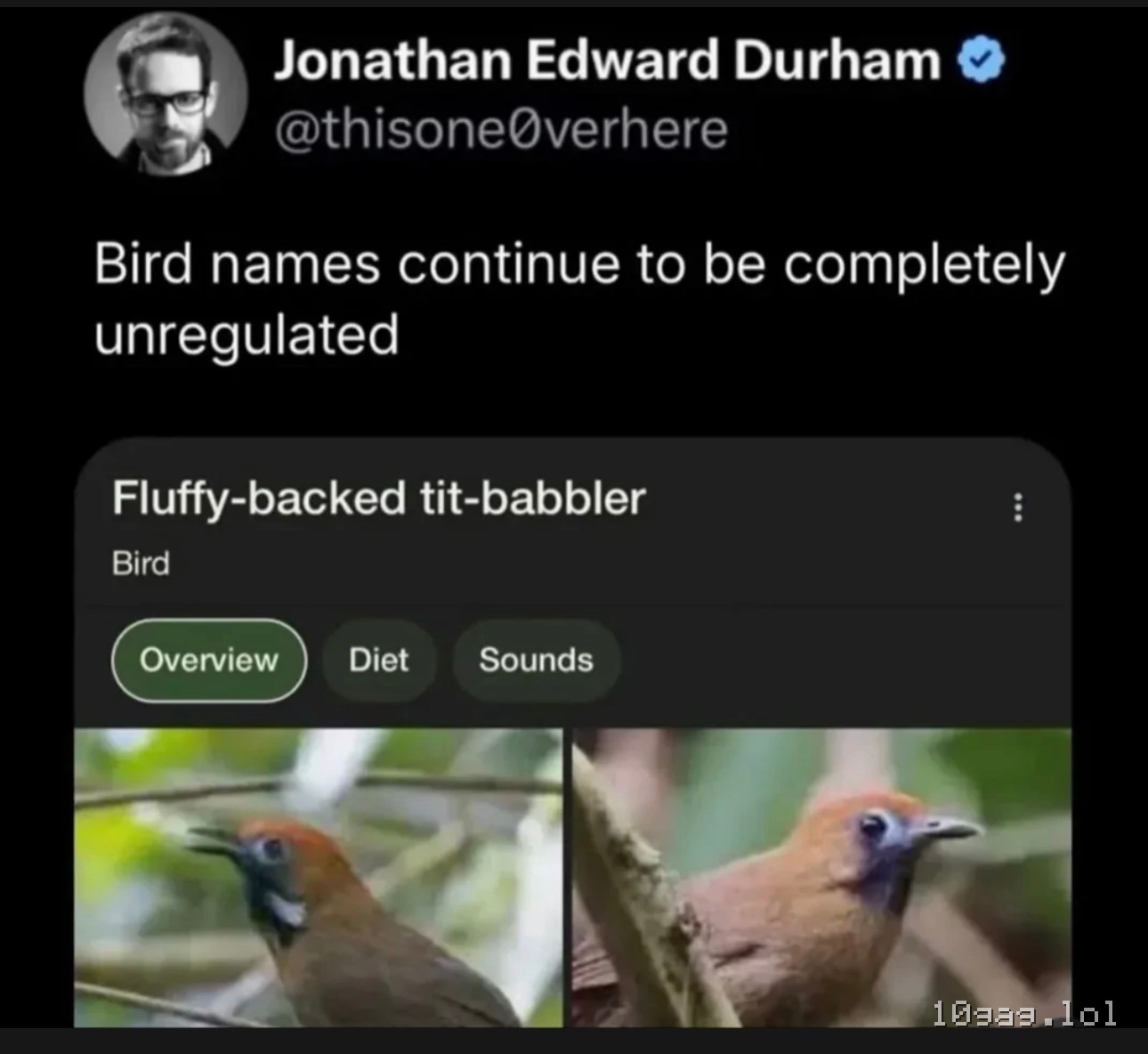 Chirp