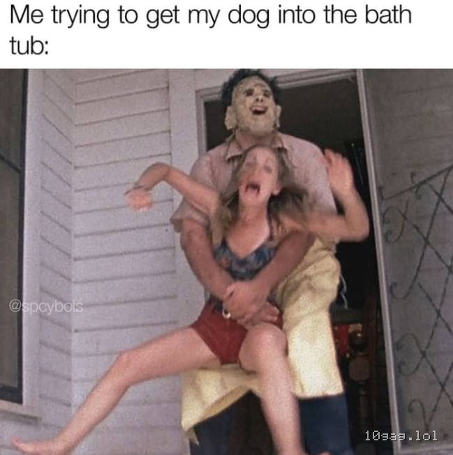Always a struggle
