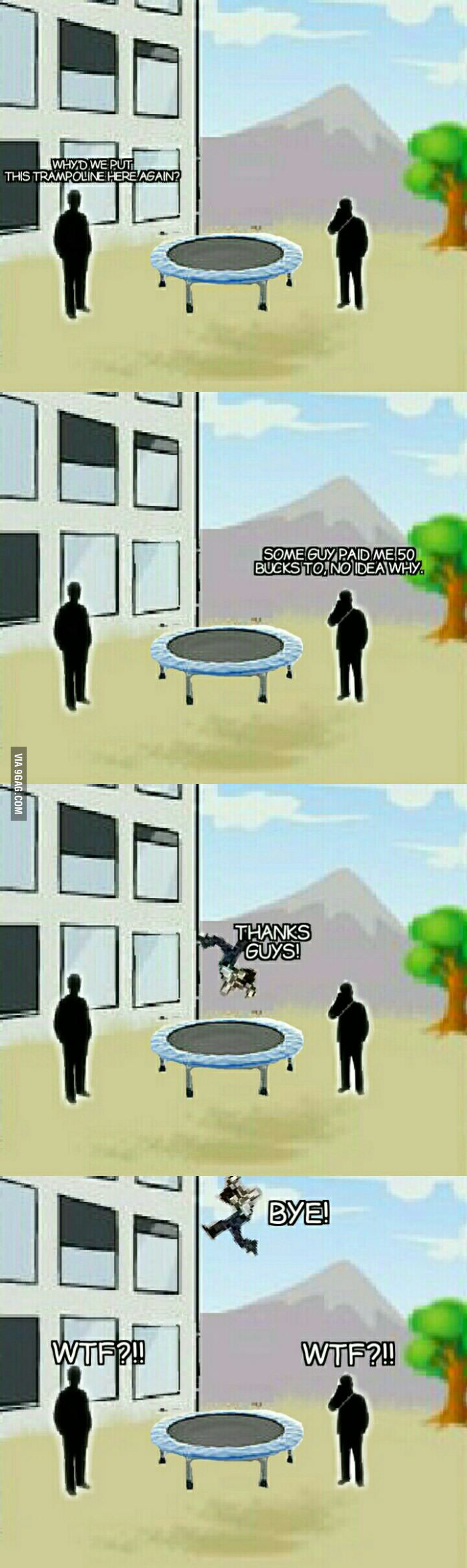 Another one for the windows