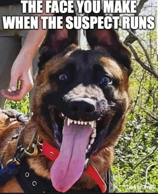 trying to add content. May have some reposts