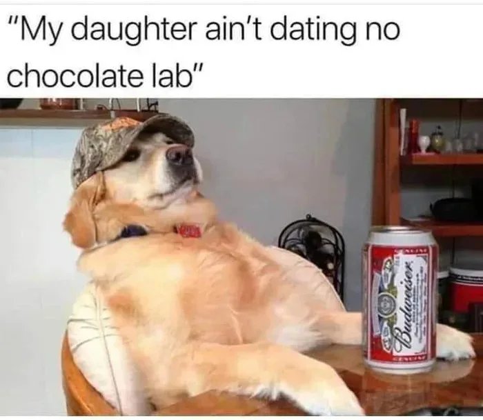 trying to add content. May have some reposts