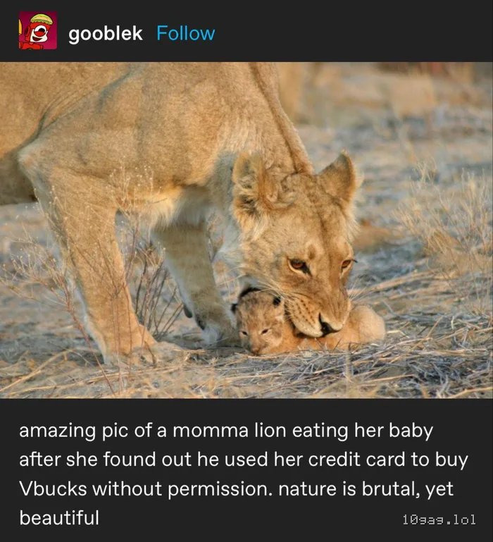 Damn nature you scary...