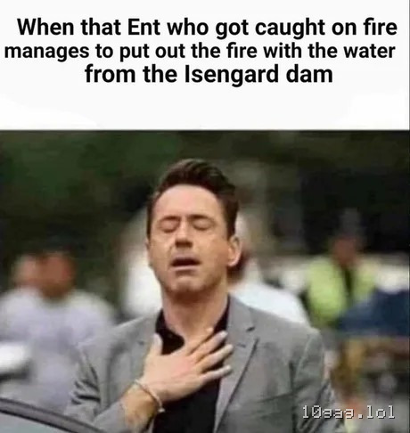 Lord of the Rings 2/5
