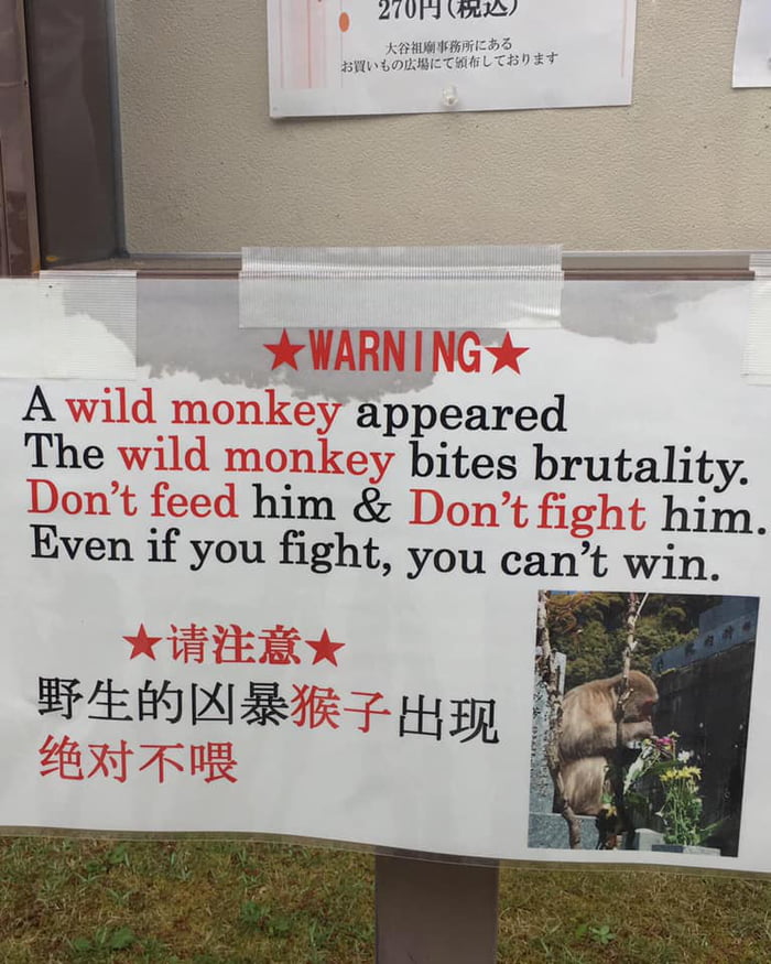 Sometimes the only way to win is not to play