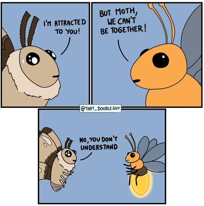 Fatal attraction