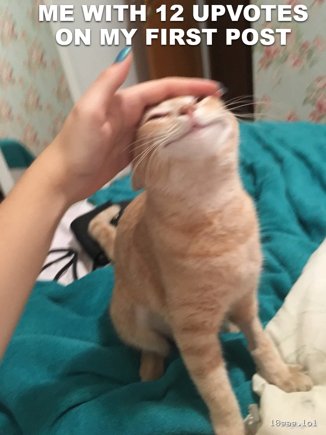 pat pat
