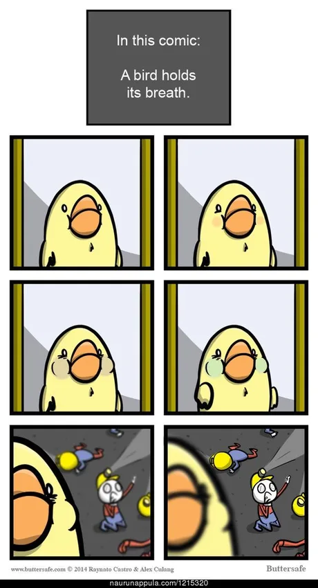 Untitled post