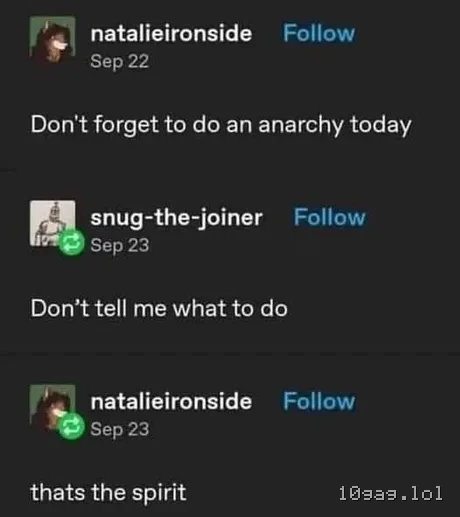 Do some anarchy, or dont.