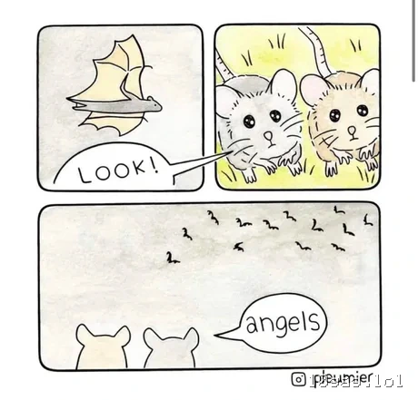 Untitled post