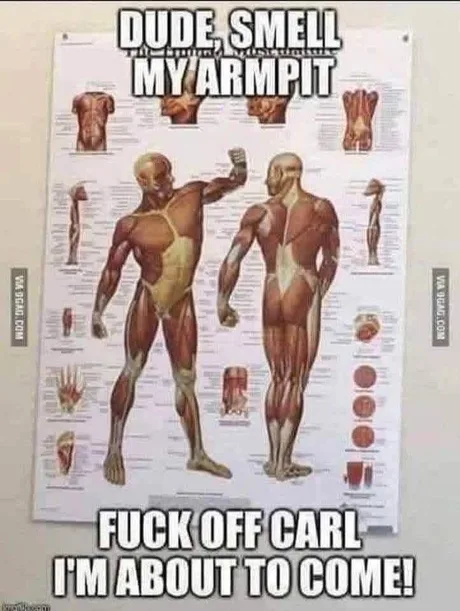 No homo