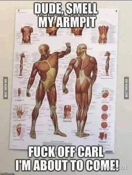 No homo