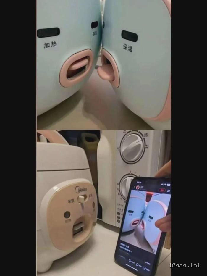 That scandalous rice cooker pic