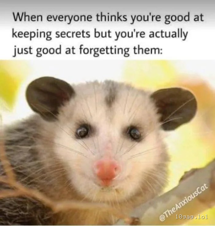 Same