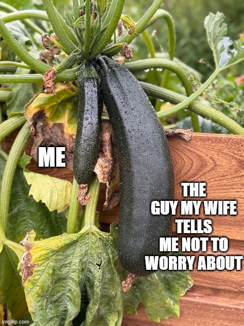 Me vs. the guy my wife tells me not to worry about