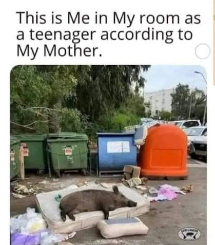 Untitled post