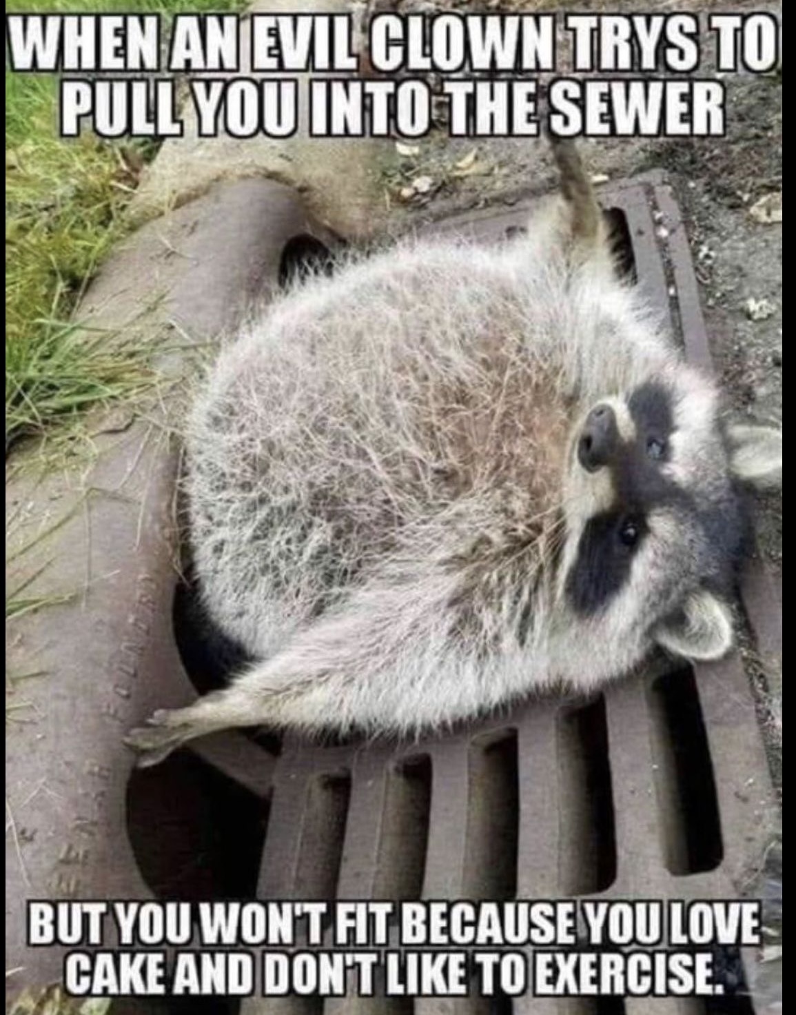 Fun title
