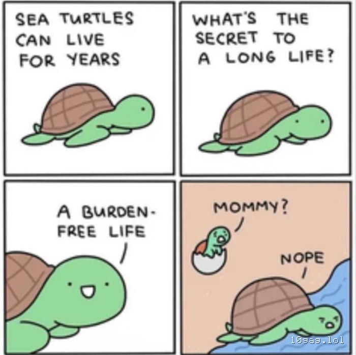 Untitled post