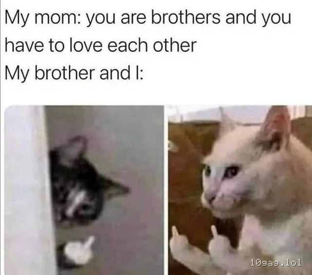 Untitled post