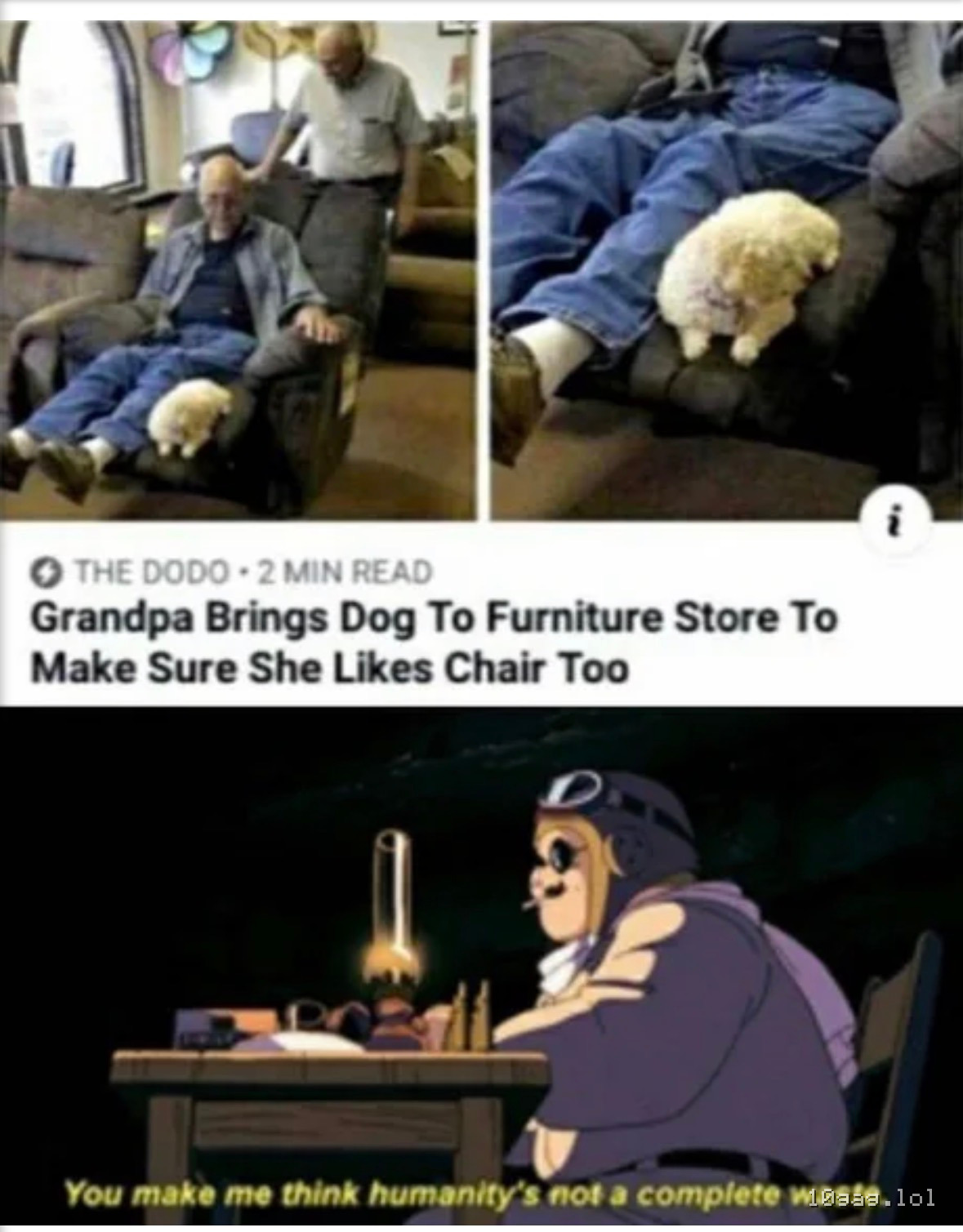 Not a complete waste of pig