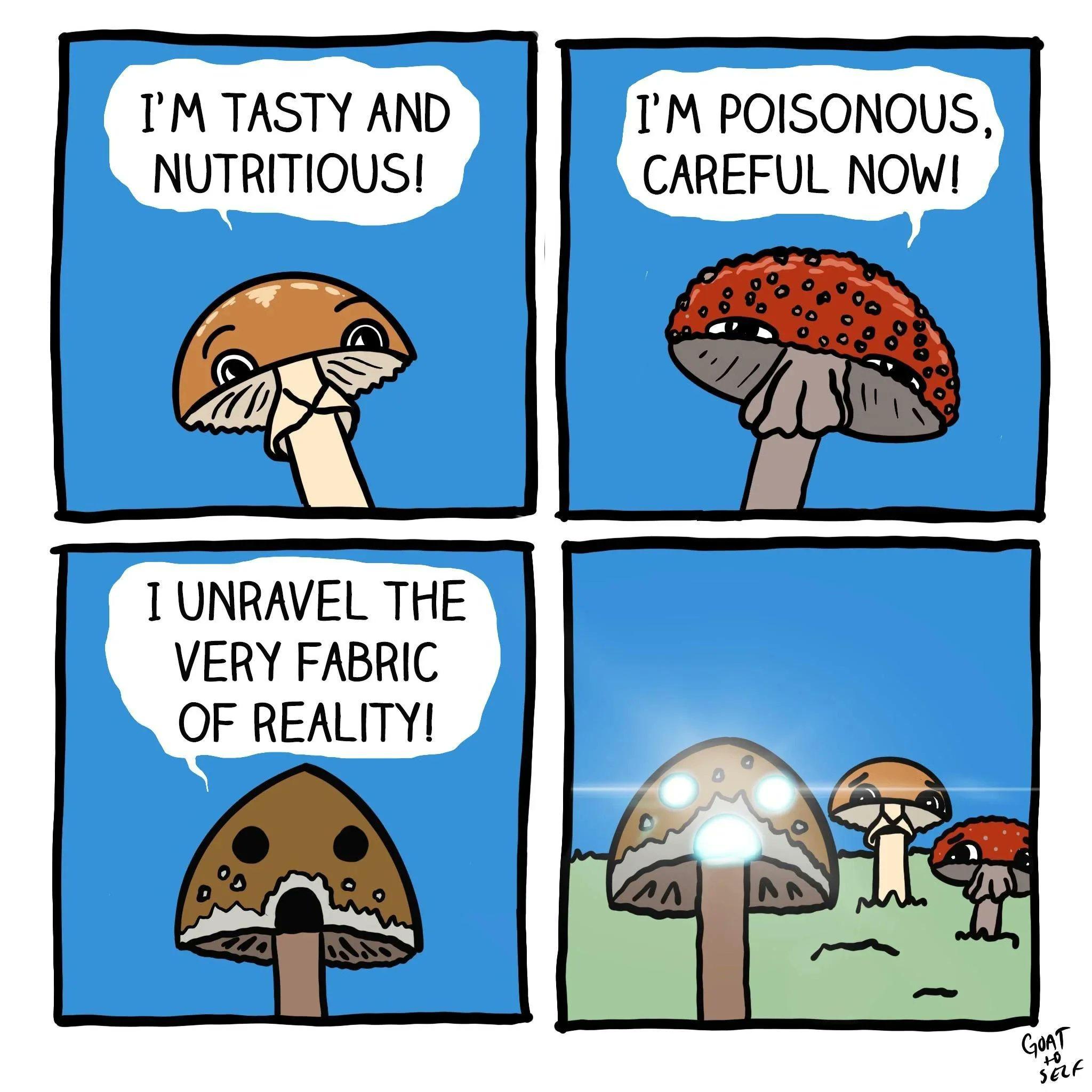 shrooms