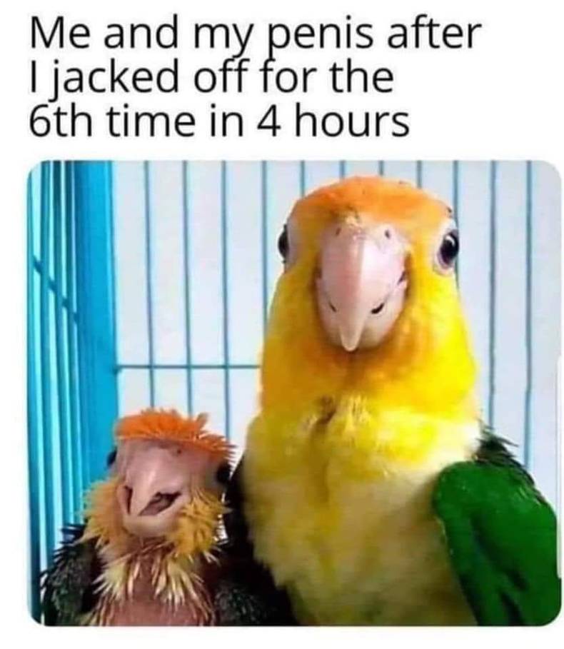 exhausted