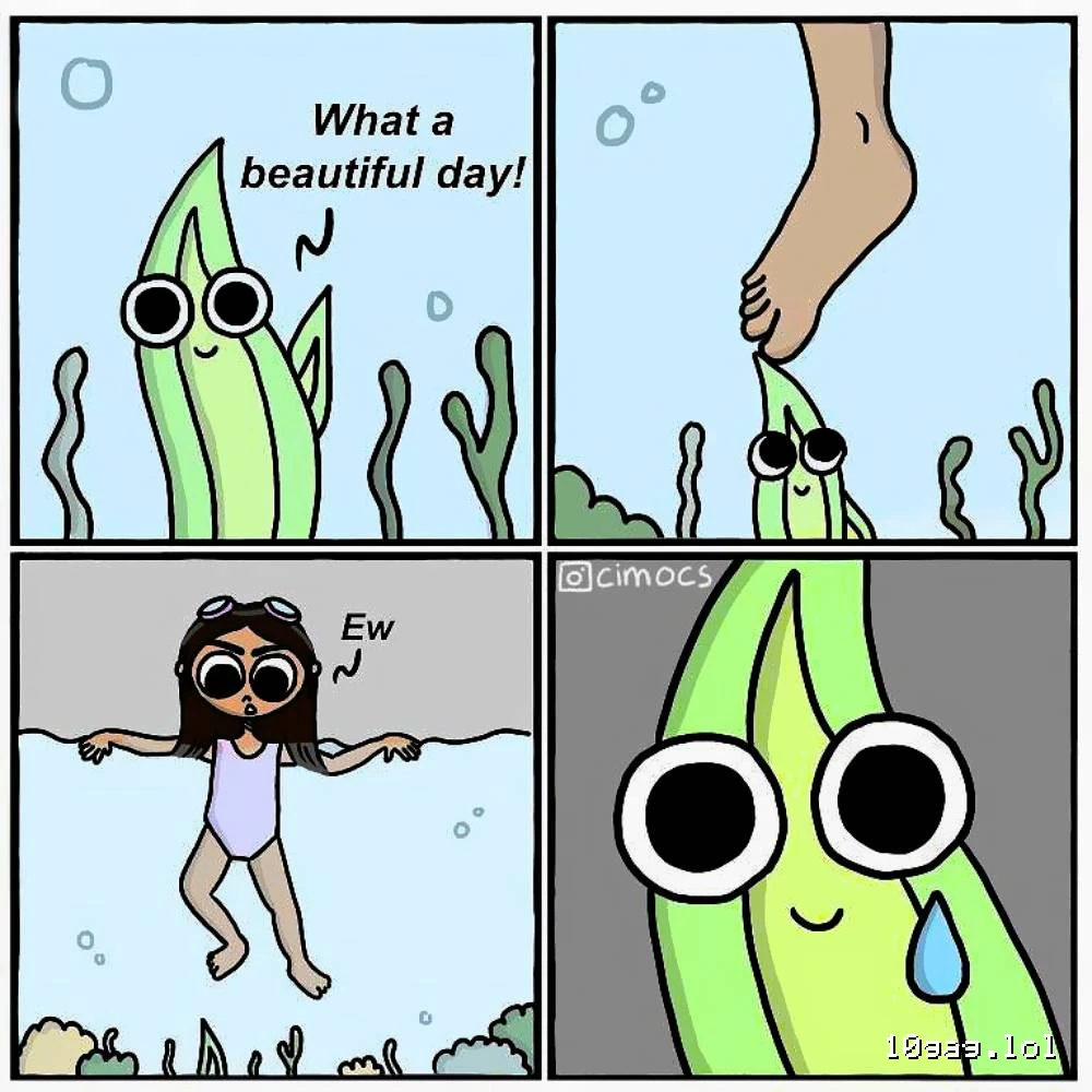 What a beautiful day!