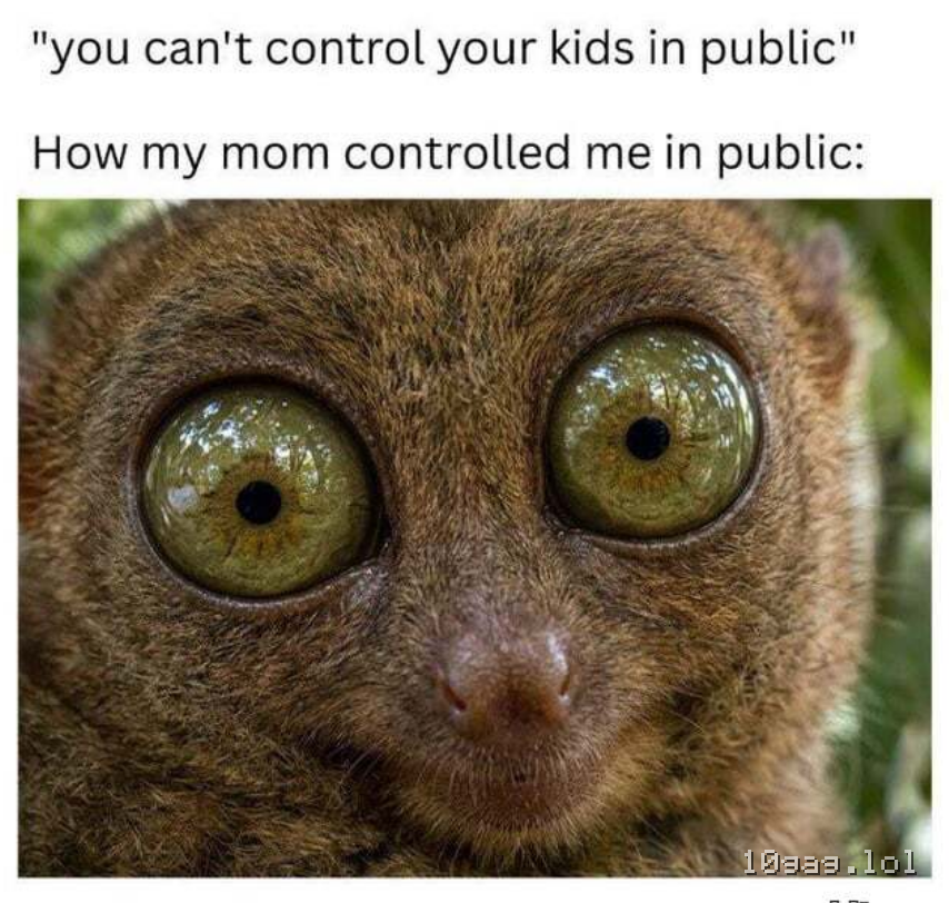 the stare
