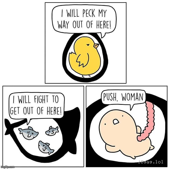 humans