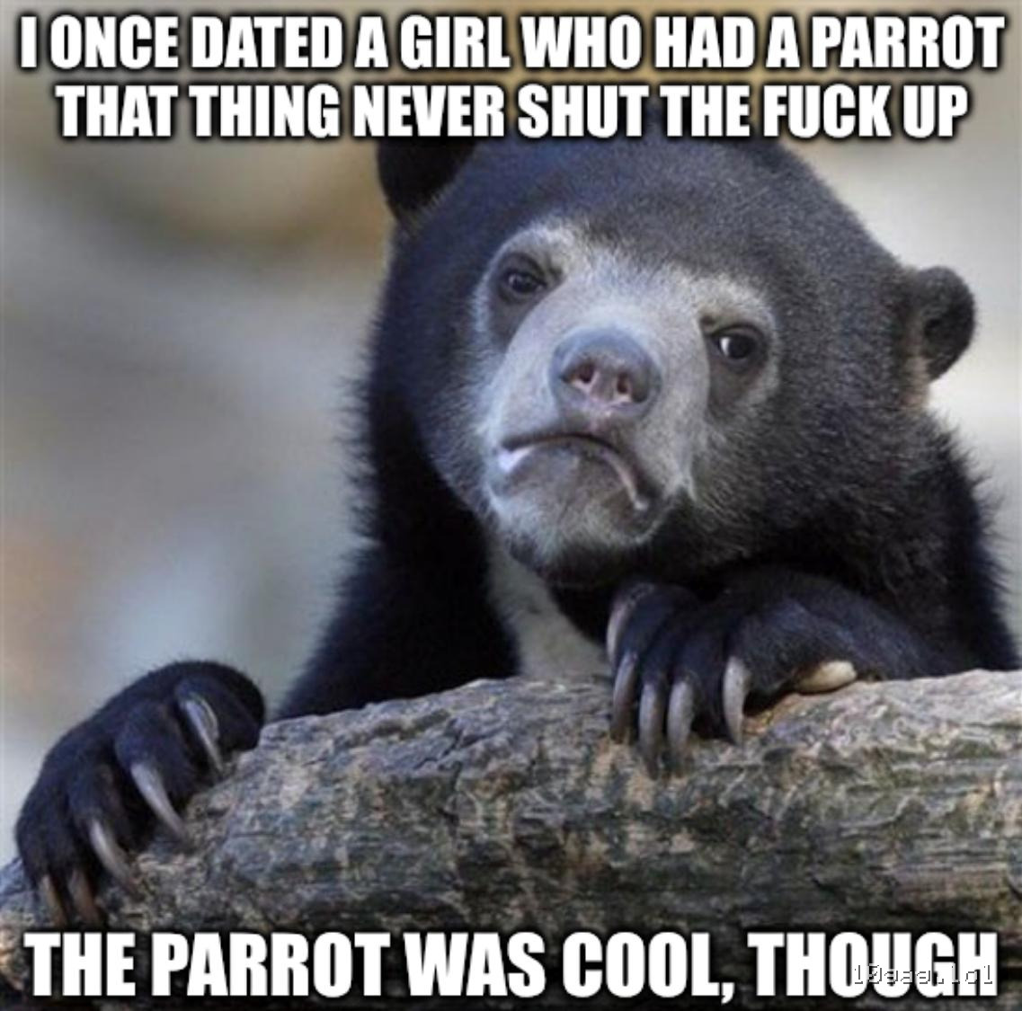 parrot