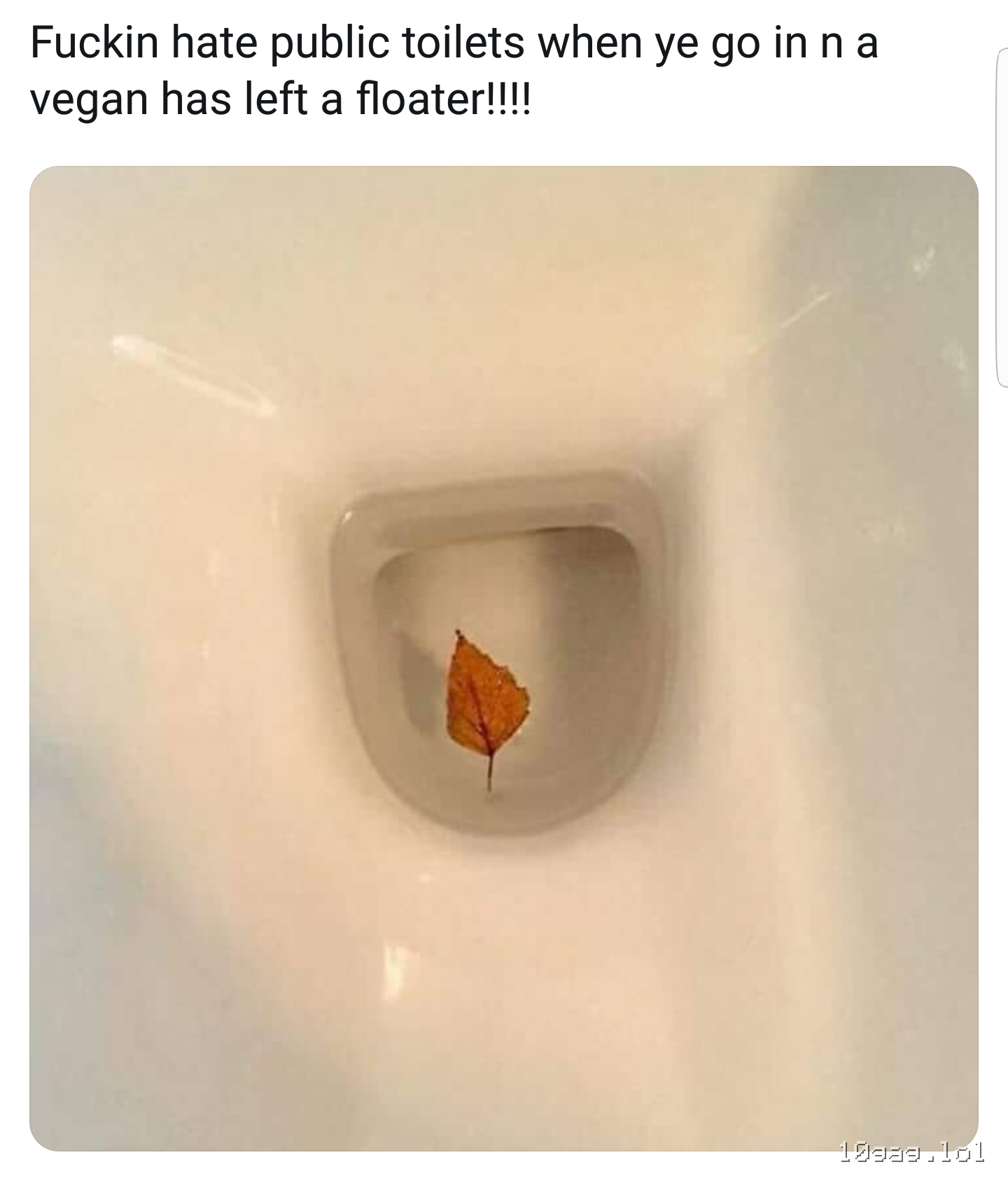 floater