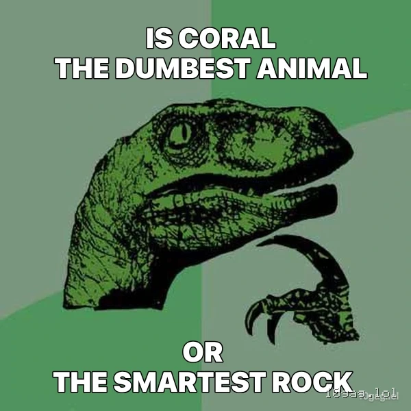 coral