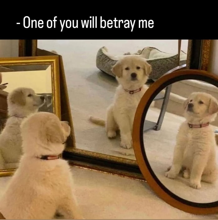 Inevitable tittle
