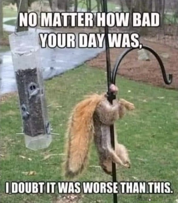 Gotta protect your nuts