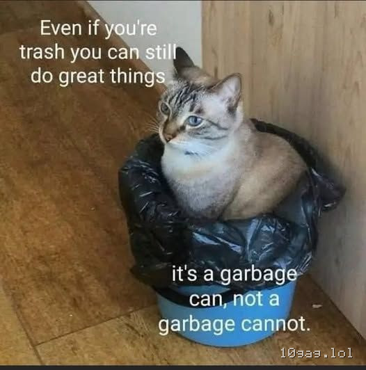 I am indeed trash